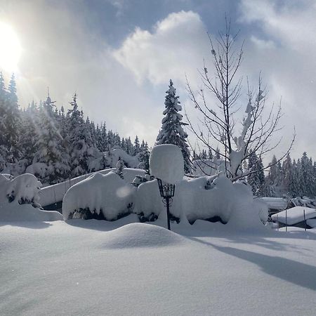 Appartementhaus Hochkoenig - Panoramablick Mühlbach am Hochkönig エクステリア 写真